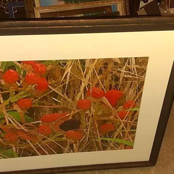 Signed original framed print